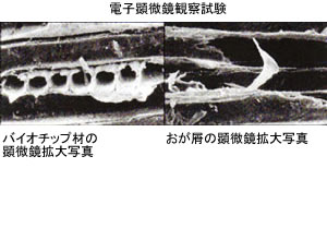 電子顕微鏡観察試験